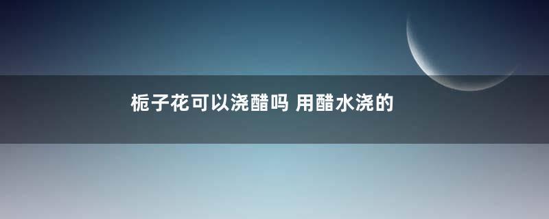 栀子花可以浇醋吗 用醋水浇的正确方法